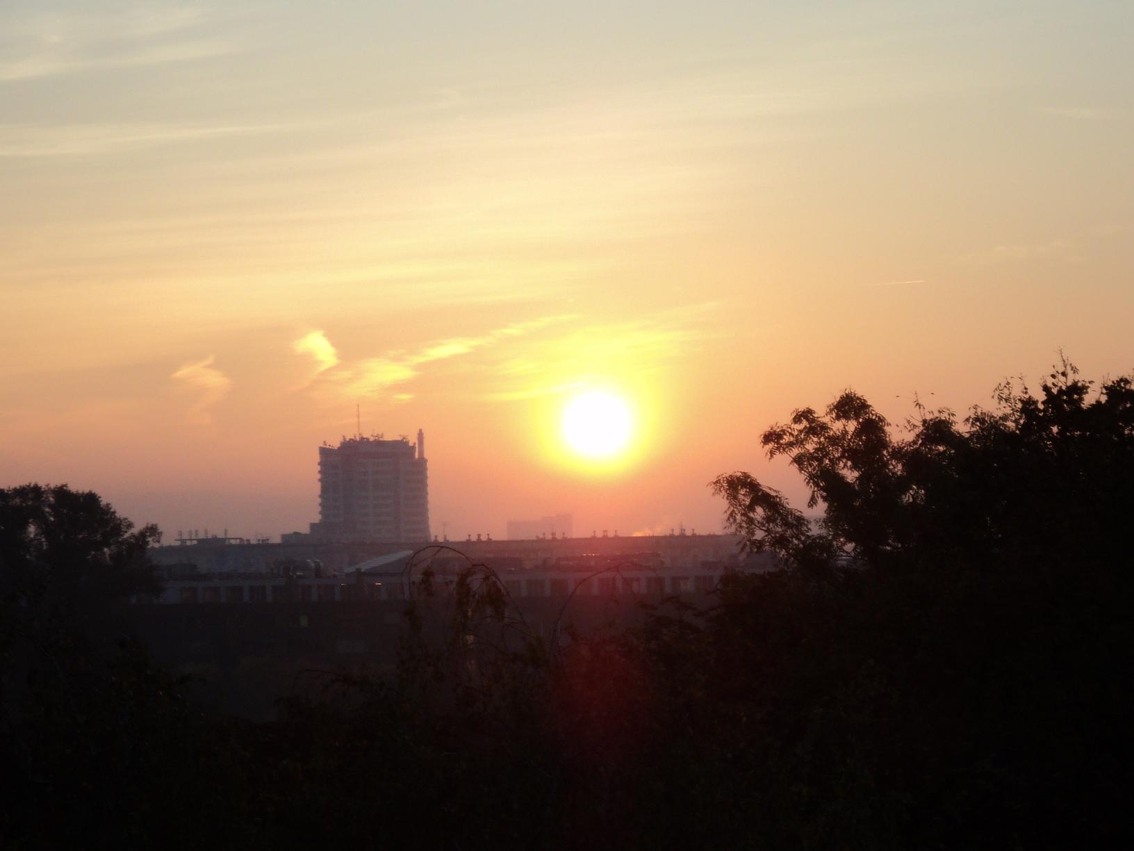 DSC01115